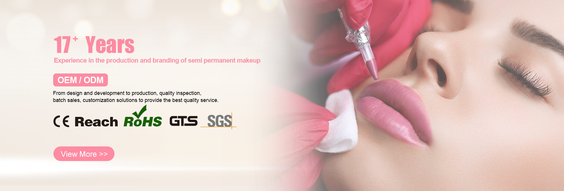 Quality Permanent Makeup Tattoo Kit factory