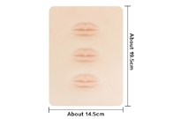 China Factory Price 3D Silicone Microblading Practice Skin Permanent Makeup Accessories Blank Tattoo Lip Prastic Skin
