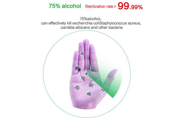 Alcohol Based Hand Sanitizer 75% Alcohol Gel 500ml Disinfectant 2
