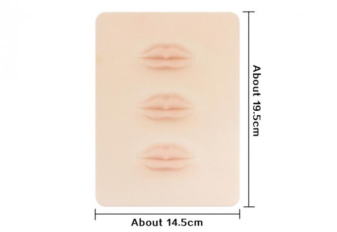 China Factory Price 3D Silicone Microblading Practice Skin Permanent Makeup Accessories Blank Tattoo Lip Prastic Skin 16