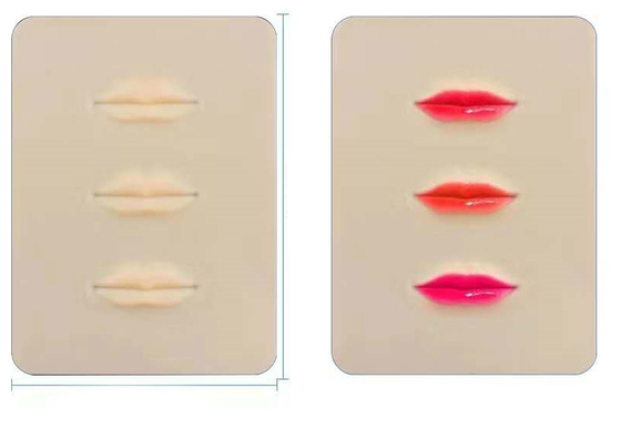 Eyeliner Permanent Makeup Practice Skin Sheet Shape Pad 20.5cm X 15cm X 0.15cm